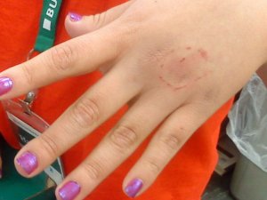 11039_361300820187_765795187_10215858_7558941_n